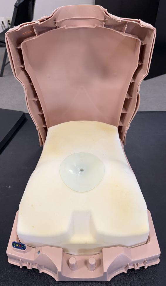 Inside of torso.jpg