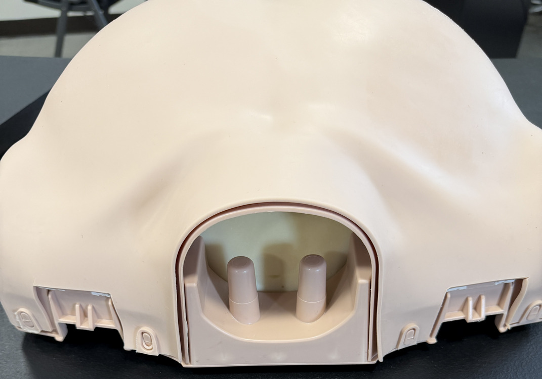 Front of torso.jpg