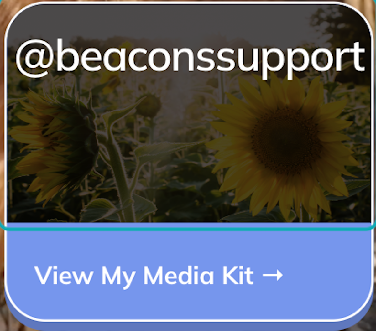 Click on media kit background