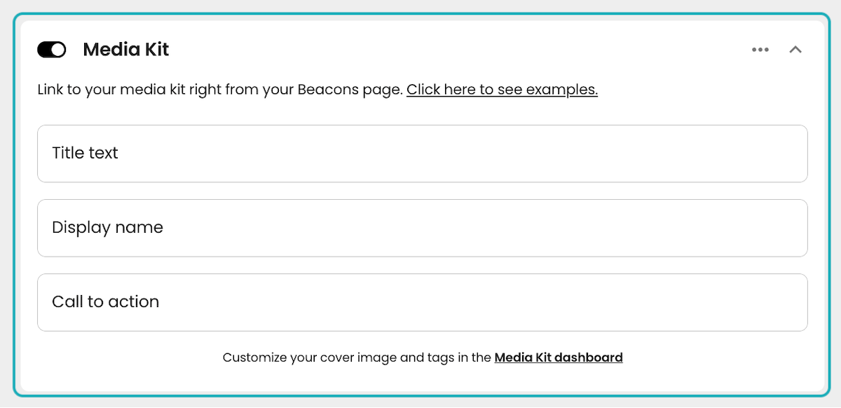 Click on Media Kit…